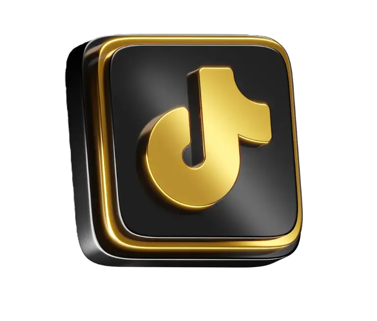 TikTok Icon