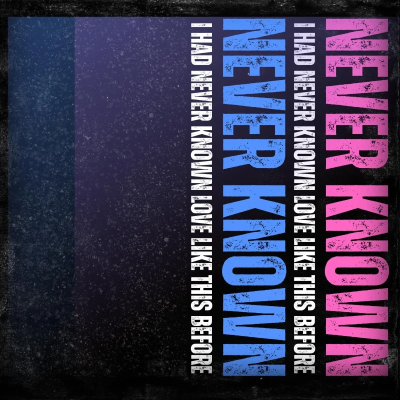 e1nachser Never Known Love Official Cover - Bad Frankenhausen House Music